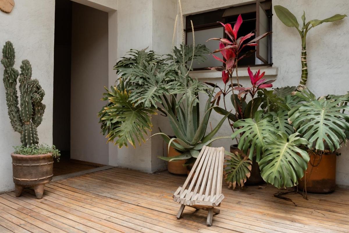 Casa Lomah Hotel Meksika Dış mekan fotoğraf