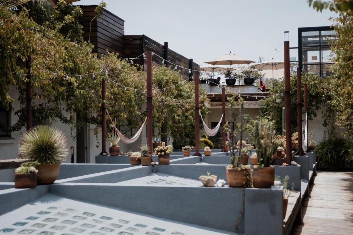 Casa Lomah Hotel Meksika Dış mekan fotoğraf