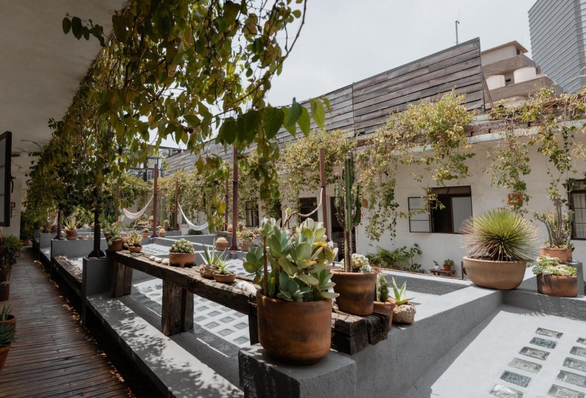 Casa Lomah Hotel Meksika Dış mekan fotoğraf